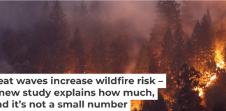 A record-tying heat wave helped spread a wildfire in Northern California’s Shasta and Trinity counties in July 2018. Terray Sylvester/Getty Images